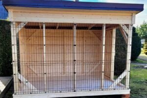 Dog House Assembled