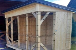 Dog House Assembled