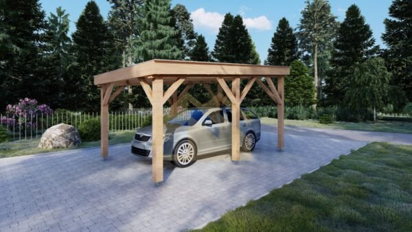 Wooden Carport Aethelstan, 3x5 15m²